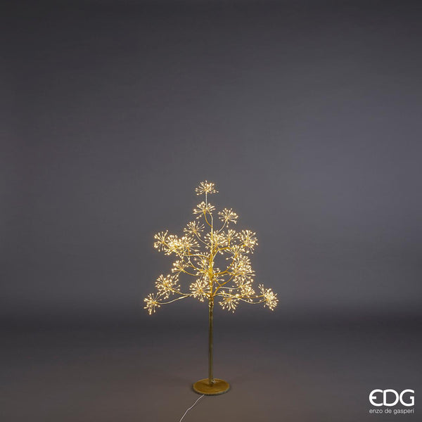 Faggio Ciuffi Gold H120cm EDG