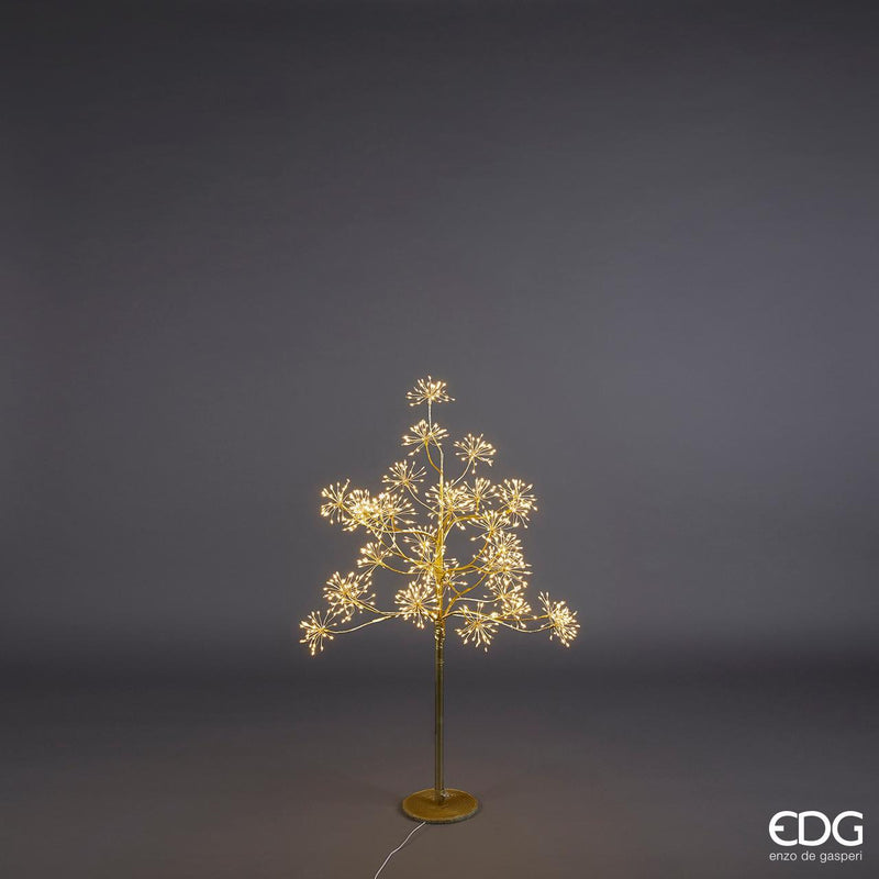 Faggio Ciuffi Gold H120cm EDG