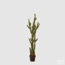 Pianta artificiale Cactus West H144 EDG Enzo De Gasperi