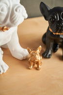 Statua in poliresina medium Collezione Bulldog RUGGIERO By Blogo Lifestyle