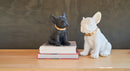 Statua in poliresina large Collezione Bulldog RUGGIERO By Blogo Lifestyle