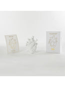 Vaso porcellana Love In Bloom Bianco SELETTI