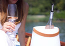 Stick raffredda vino in acciaio inox WDLifestyle
