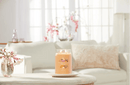 Candela Profumata Mango Ice Cream Yankee Candle