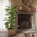 Pianta artificiale CALATHEA BELL con vaso H.115 EDG Enzo De Gasperi