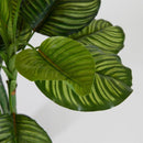 Pianta artificiale CALATHEA BELL con vaso H.115 EDG Enzo De Gasperi