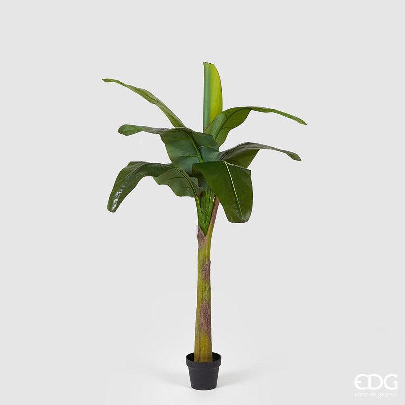Pianta Artificiale Banano 9 foglie H 170 EDG Enzo De Gasperi