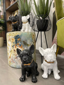 Statua in poliresina medium Collezione Bulldog RUGGIERO By Blogo Lifestyle