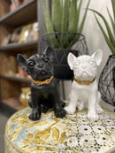 Statua in poliresina medium Collezione Bulldog RUGGIERO By Blogo Lifestyle