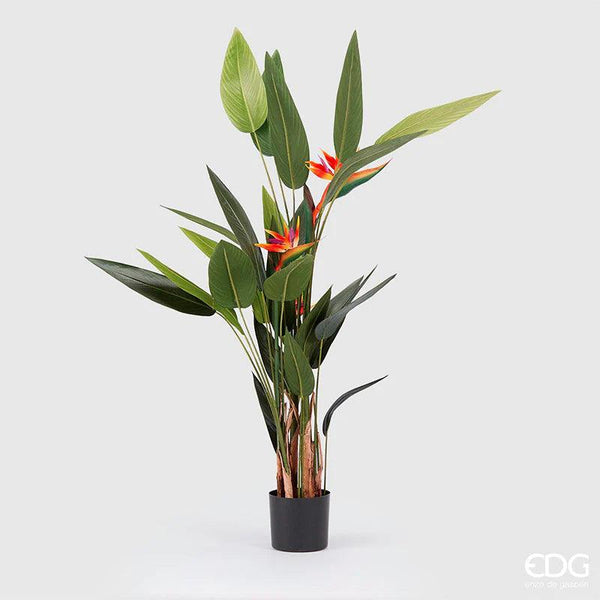 Pianta Artificiale STERLIZIA con vaso e fiori By  EDG Enzo De Gasperi