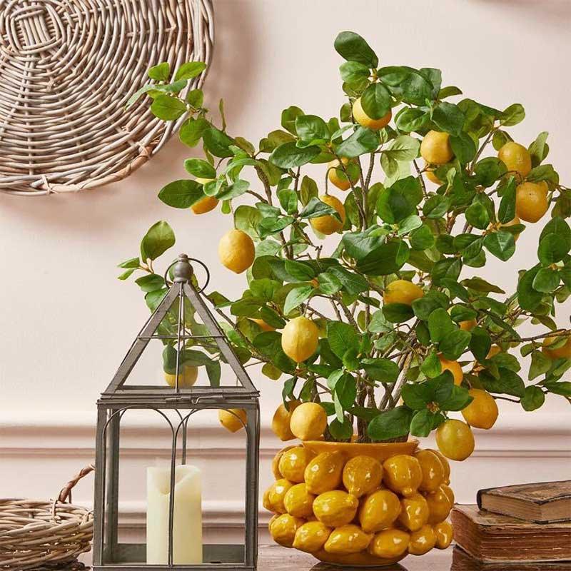EDG Enzo De Gasperi Vaso Porta Pianta Ceramica Giallo CHAKRA